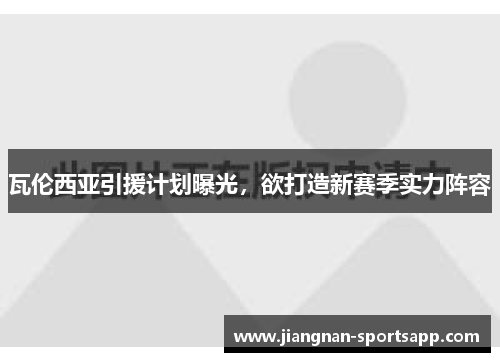瓦伦西亚引援计划曝光，欲打造新赛季实力阵容